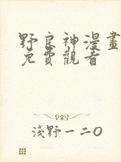 野良神漫画全集免费观看