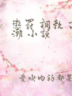 惩罚 调教 高潮 小说