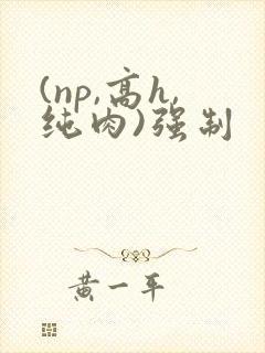(np,高h,纯肉)强制