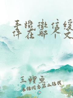 手机微信缓存文件在哪个文件夹