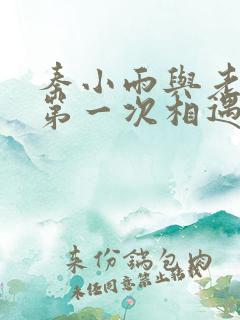 秦小雨与老旺的第一次相遇