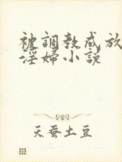 被调教成放荡小淫妇小说