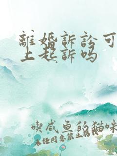 离婚诉讼可以网上起诉吗