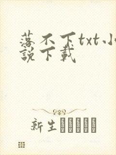 落不下txt小说下载