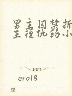 男主囚禁折磨女主复仇的小说