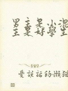 男主是小混混女主是好学生的小说