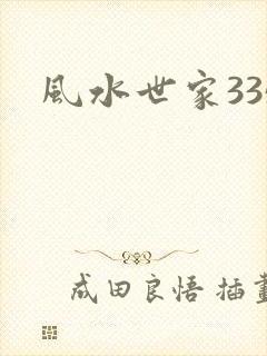 风水世家335