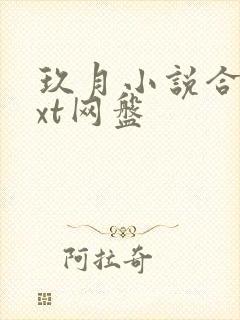 玖月小说合集txt网盘