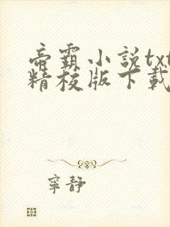 帝霸小说txt精校版下载