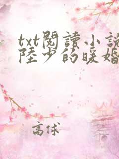 txt阅读小说陆少的暖婚新妻