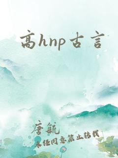 高hnp古言
