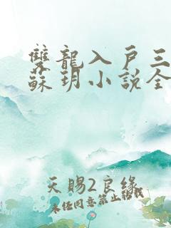 双龙入户三人行苏玥小说全文阅读