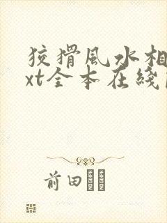 狡猾风水相师txt全本在线阅读