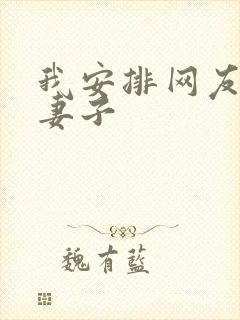 我安排网友开发妻子