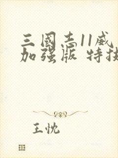 三国志11威力加强版 特技