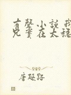 有声小说 我师兄实在太稳健了