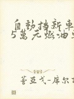 自动挡新车3一5万元燃油车