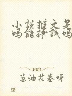 小说推文是真的吗能挣钱吗