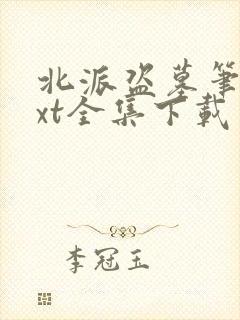 北派盗墓笔记txt全集下载完本免费