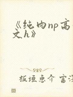 《纯肉np高辣文h》