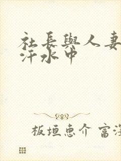 社长与人妻秘书汗水中