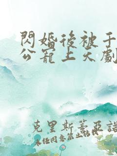 闪婚后被千亿老公宠上天剧情