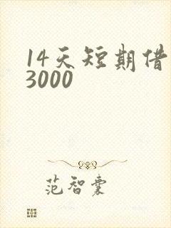 14天短期借款3000