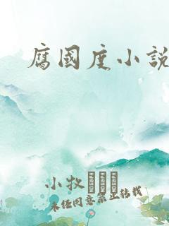 腐国度小说