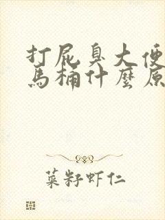 打屁臭大便又粘马桶什么原因