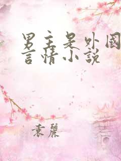 男主是外国人的言情小说