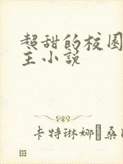 超甜的校园双男主小说