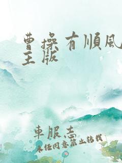 曹操有顺风车车主版