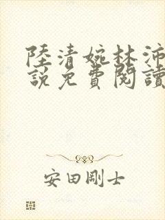 陆清婉林沛琛小说免费阅读最新章节