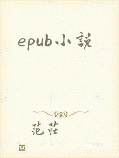 epub小说