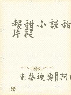 超甜小说甜宠文片段
