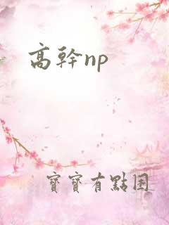 高干np
