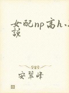 女配np高h小说