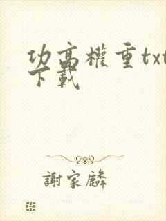 功高权重txt下载