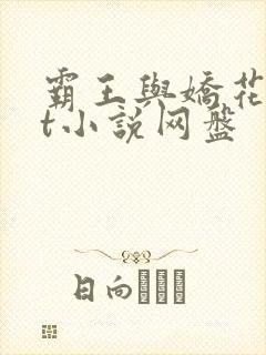 霸王与娇花txt小说网盘