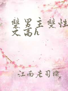 双男主双性生子文高h