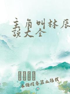 主角叫林辰的小说大全