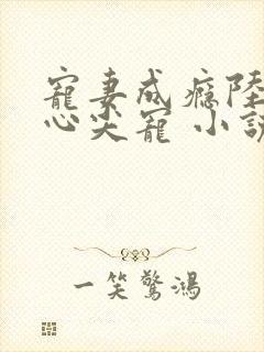 宠妻成瘾陆少的心尖宠 小说