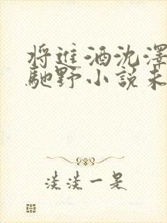 将进酒沈泽川萧驰野小说未删版txt