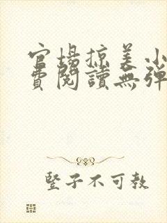 官场掠美小说免费阅读无弹窗