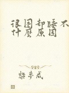 很困却睡不着是什么原因