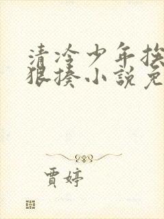 清冷少年挨爸爸狠揍小说免费阅读