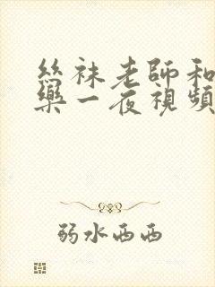 丝袜老师和我快乐一夜视频