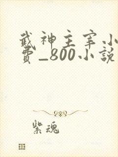 武神主宰小说免费_800小说
