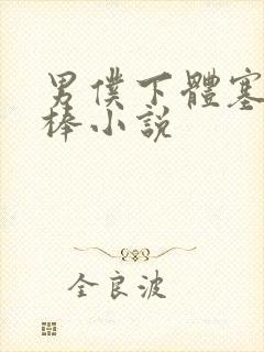 男仆下体塞震动棒小说