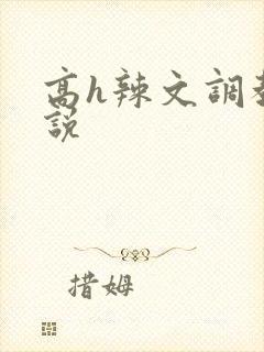 高h辣文调教小说